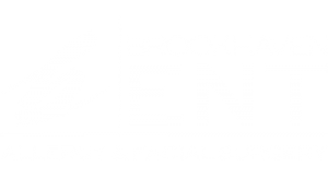 brookhaven ent logo rvs500x